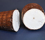 Cassava plant, an edible starchy tuberous root.
